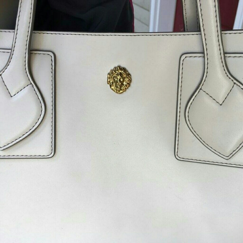 Anne Klein bag pictured below